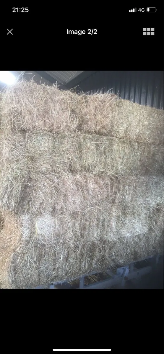 Square Bales (Hay) - Image 2
