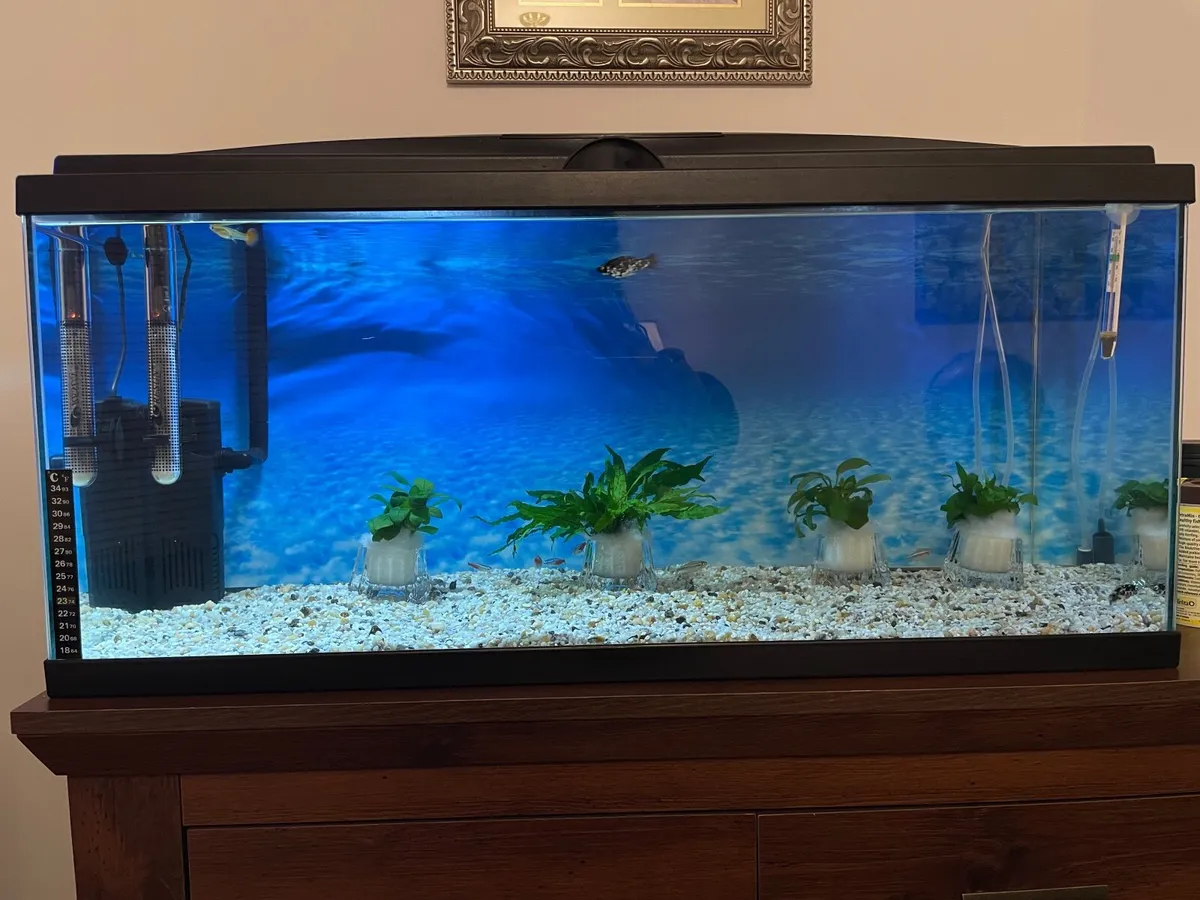 Aquarium - Image 1