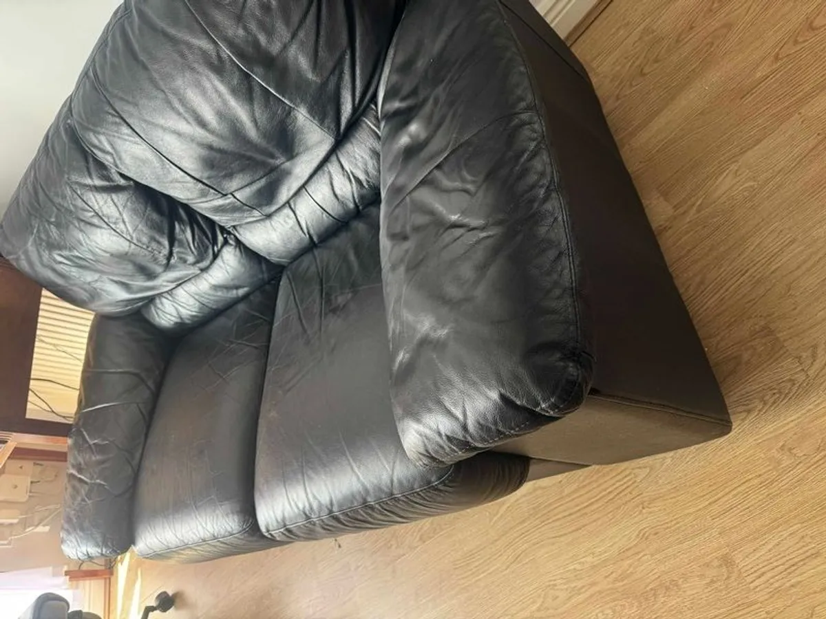 Free - Image 4