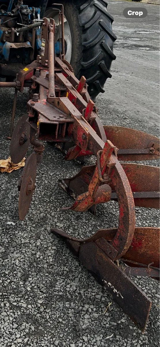 International 3 fur 300 plough ( very original) - Image 2