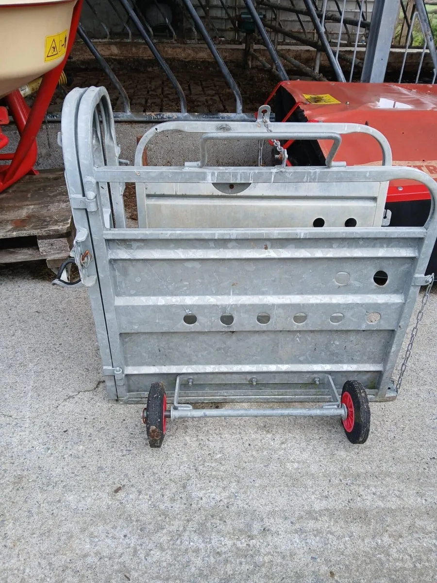 Calf dehorning crate - Image 1