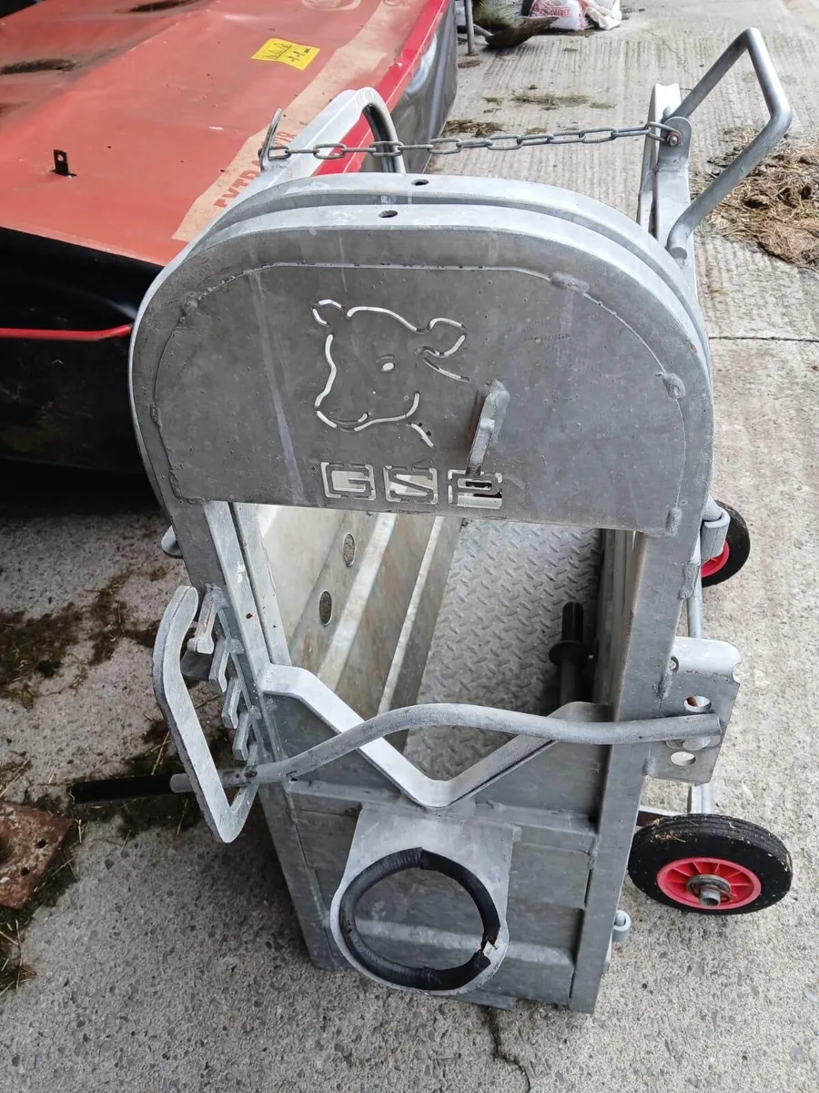 Calf dehorning crate - Image 2