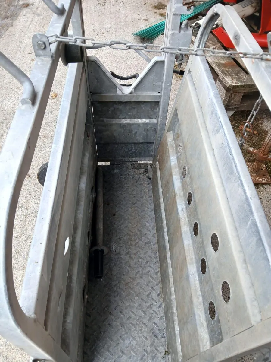 Calf dehorning crate - Image 3