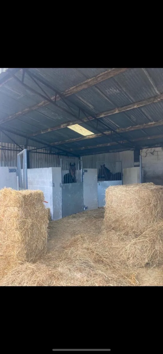 Stables to rent Clonroche Wexford - Image 3