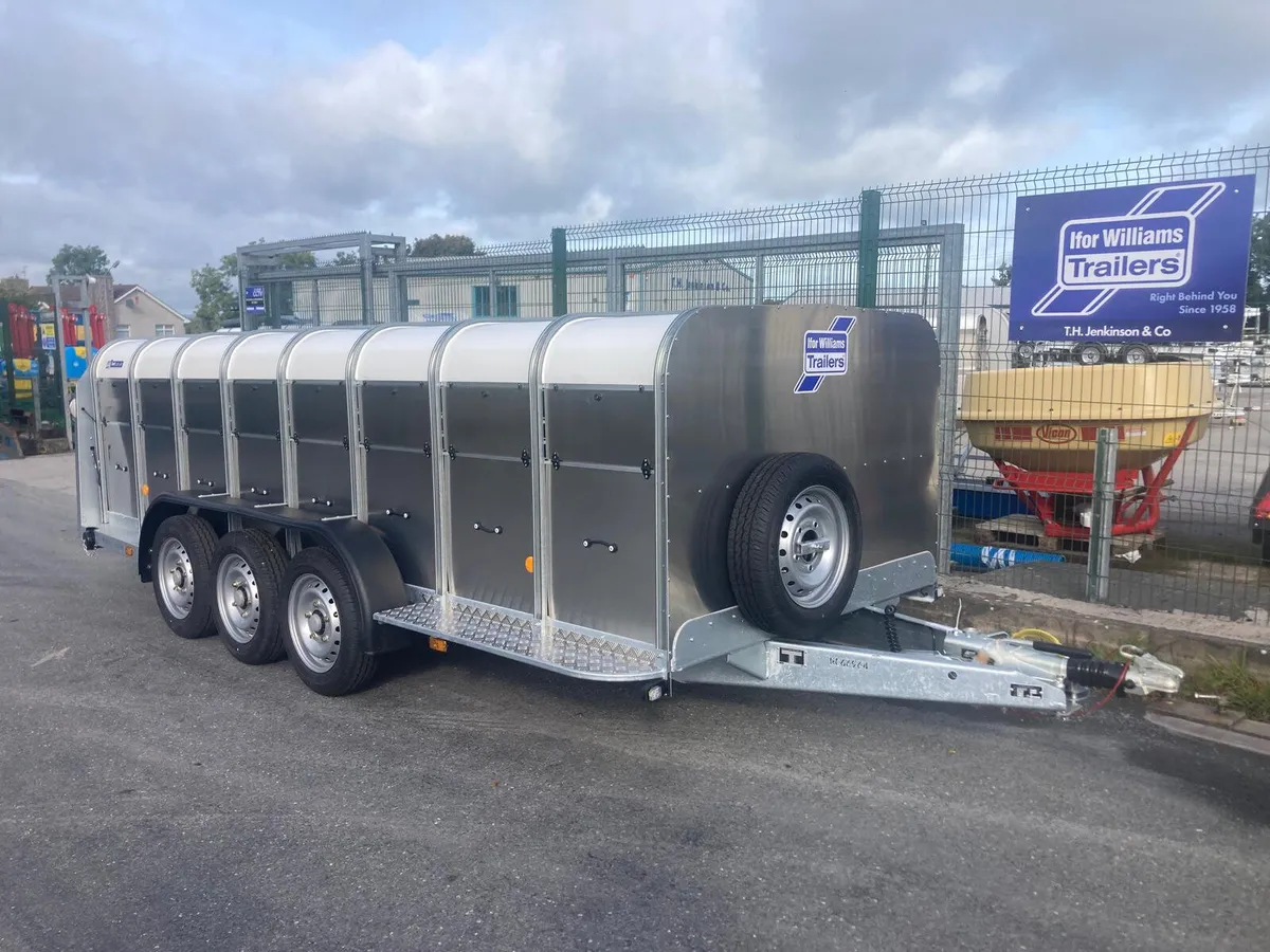 IN STOCK  New Ifor Williams 16x4 Sheep Trailer