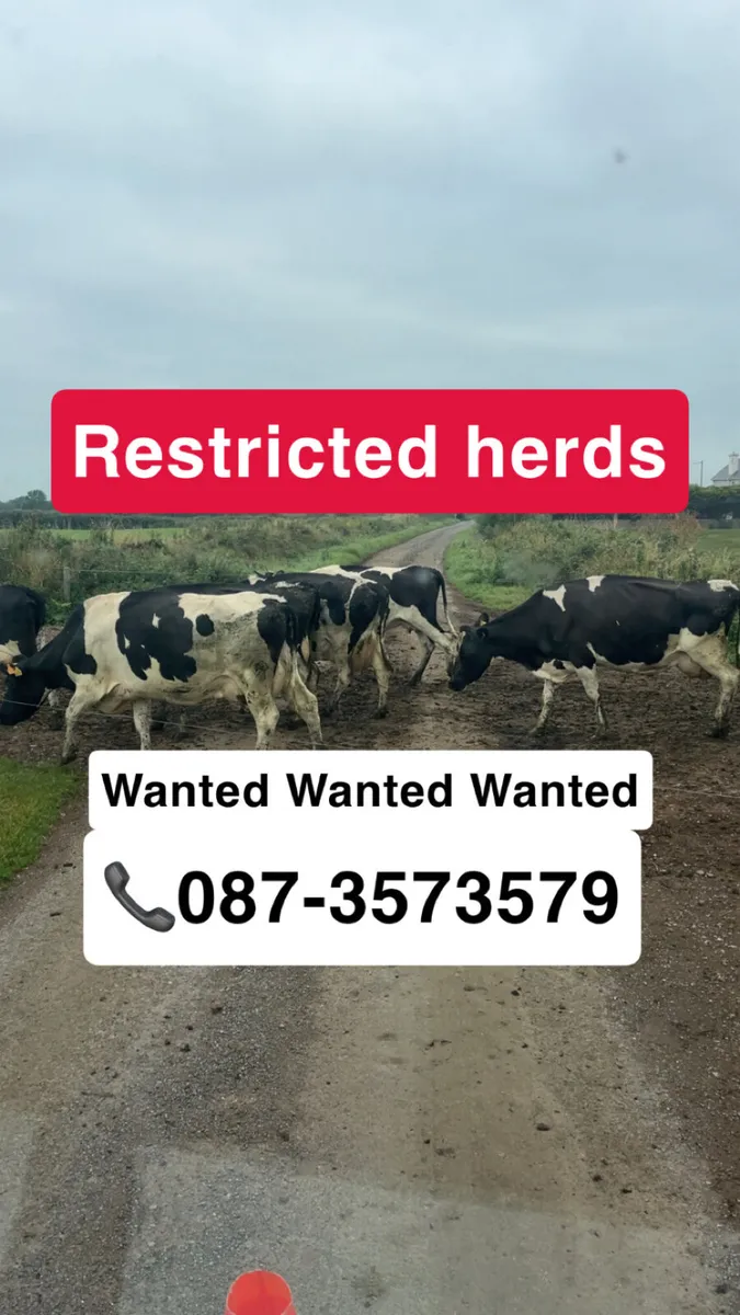 Cull & problematic livestock