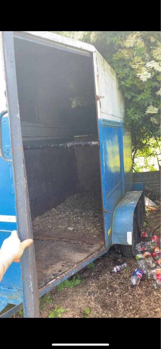 Mare and foal box - Image 2