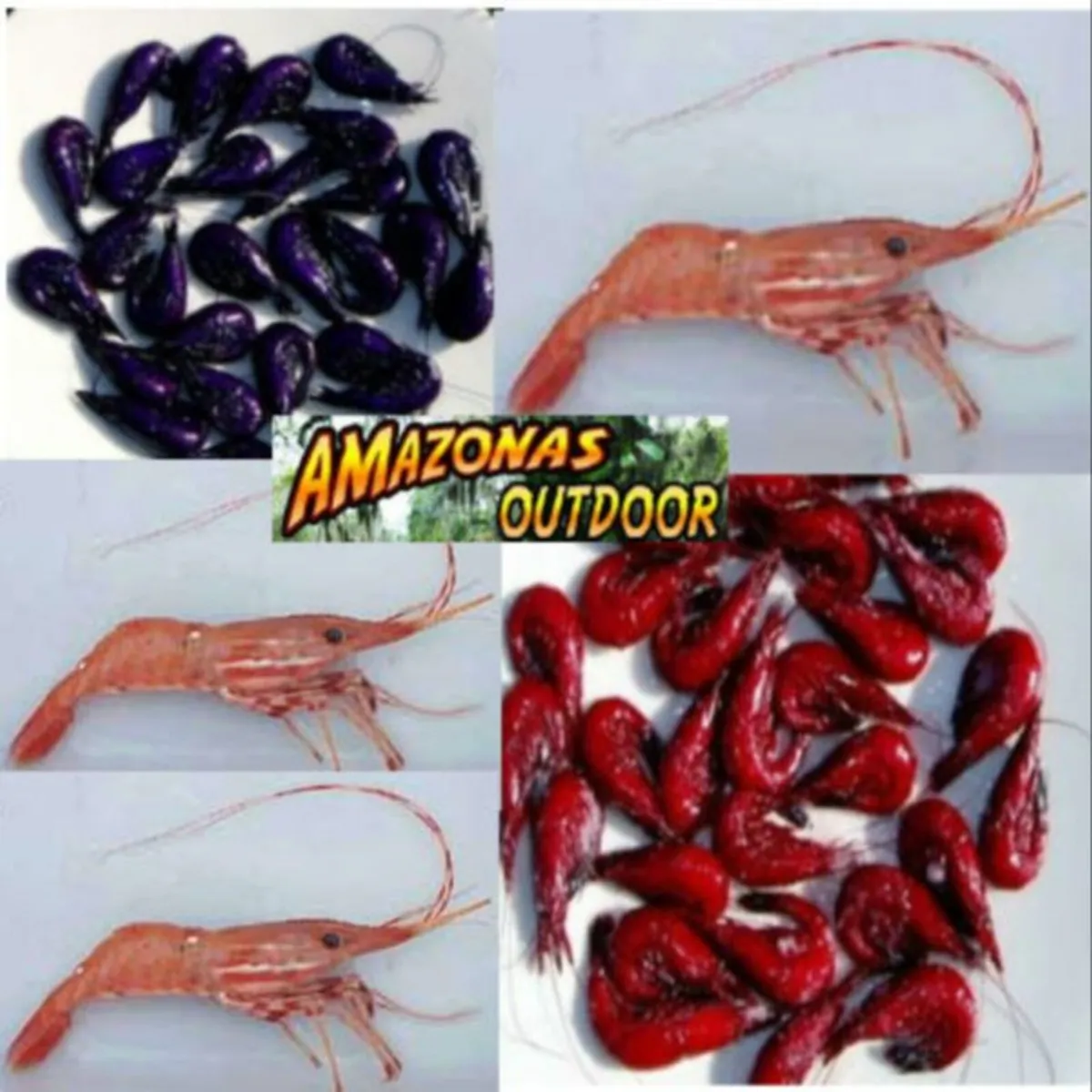 Fresh Dyed Purple Shrimp/ Prawns (with eggs) - Image 2