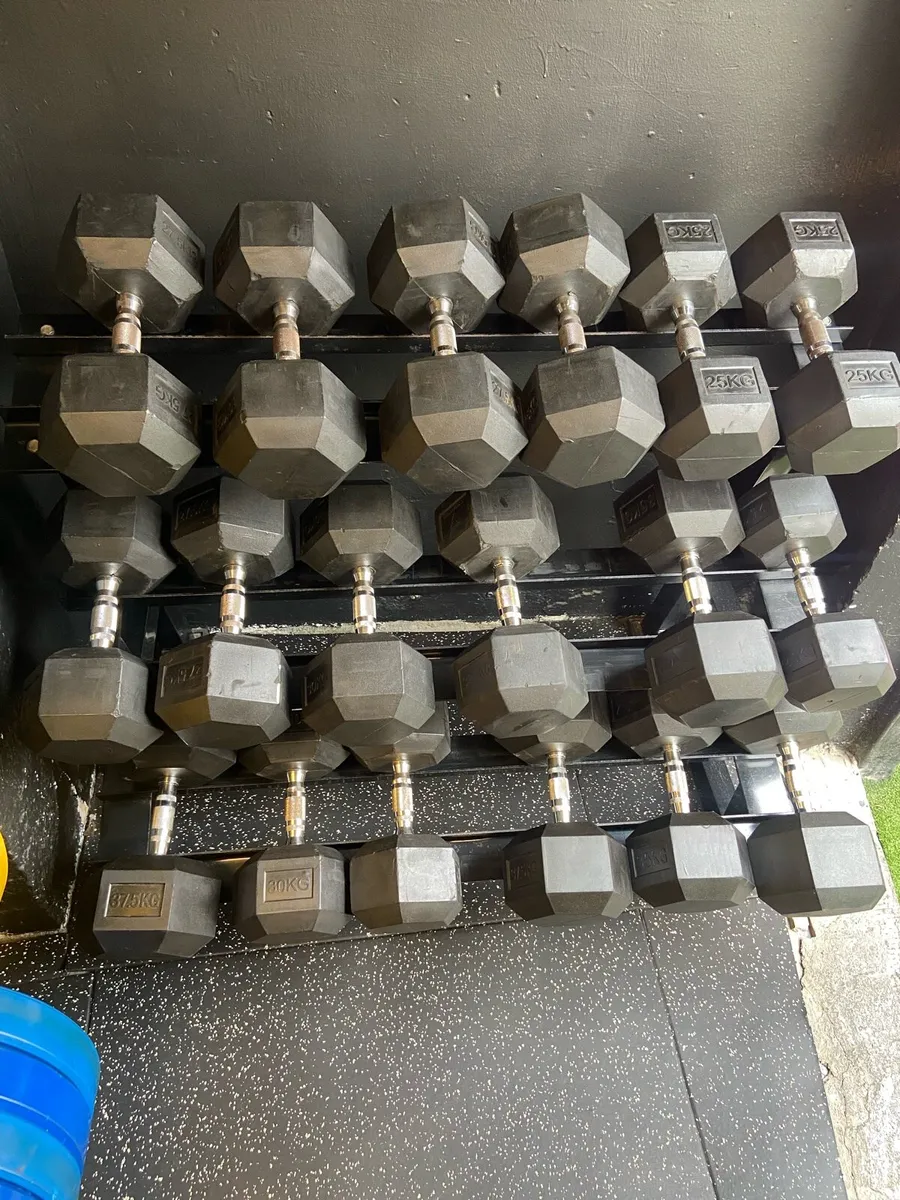 Gym equipment - Image 1