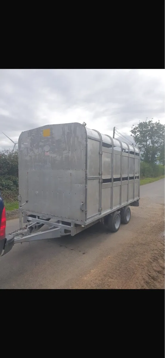 Iforwilliams cattle trailer - Image 2