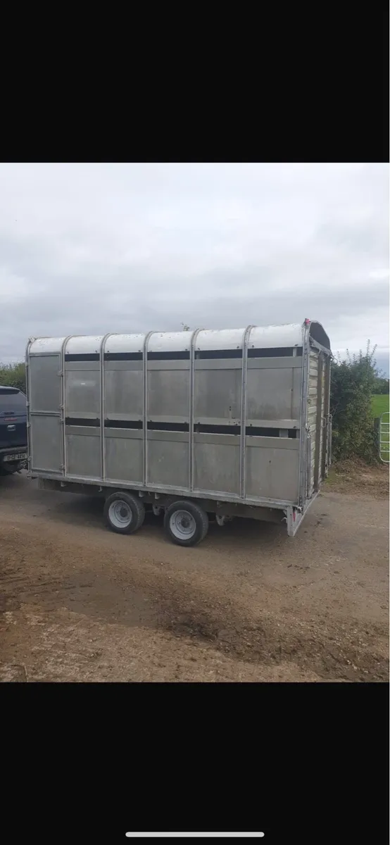 Iforwilliams cattle trailer - Image 4