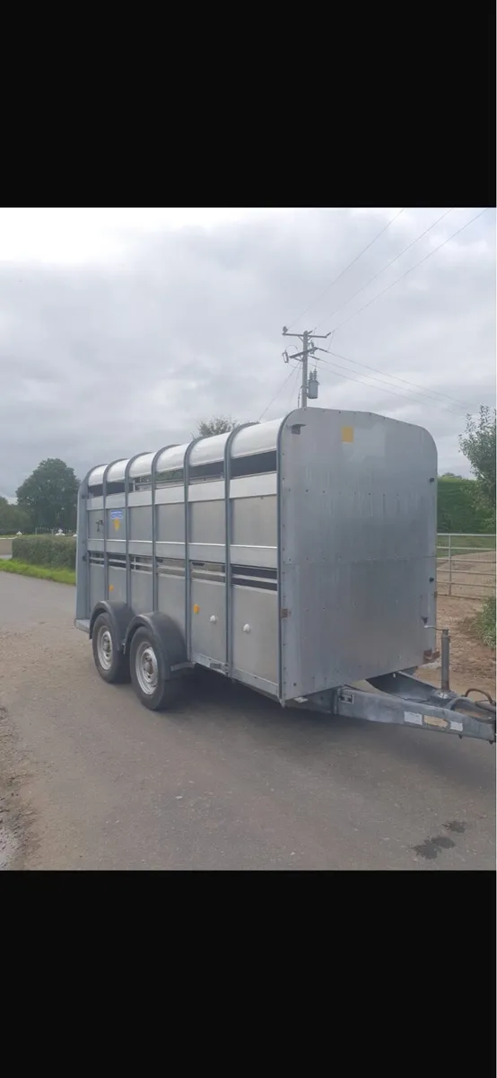 12 foot cattle trailer - Image 2