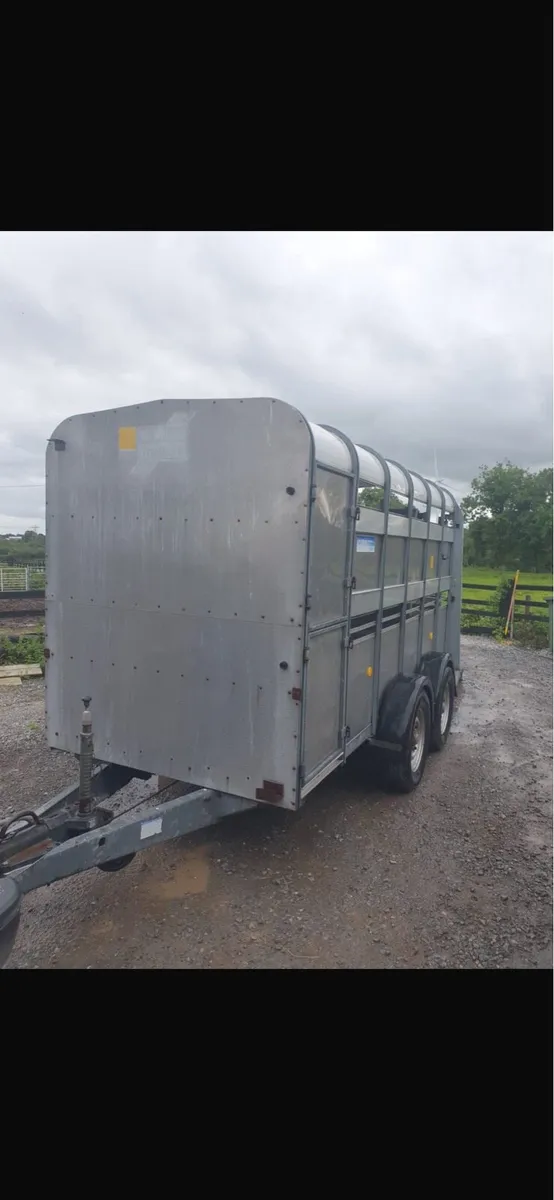 12 foot cattle trailer - Image 3