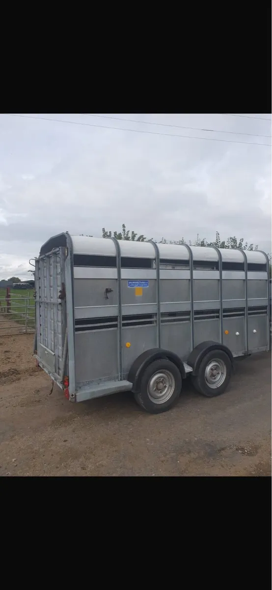 12 foot cattle trailer - Image 4