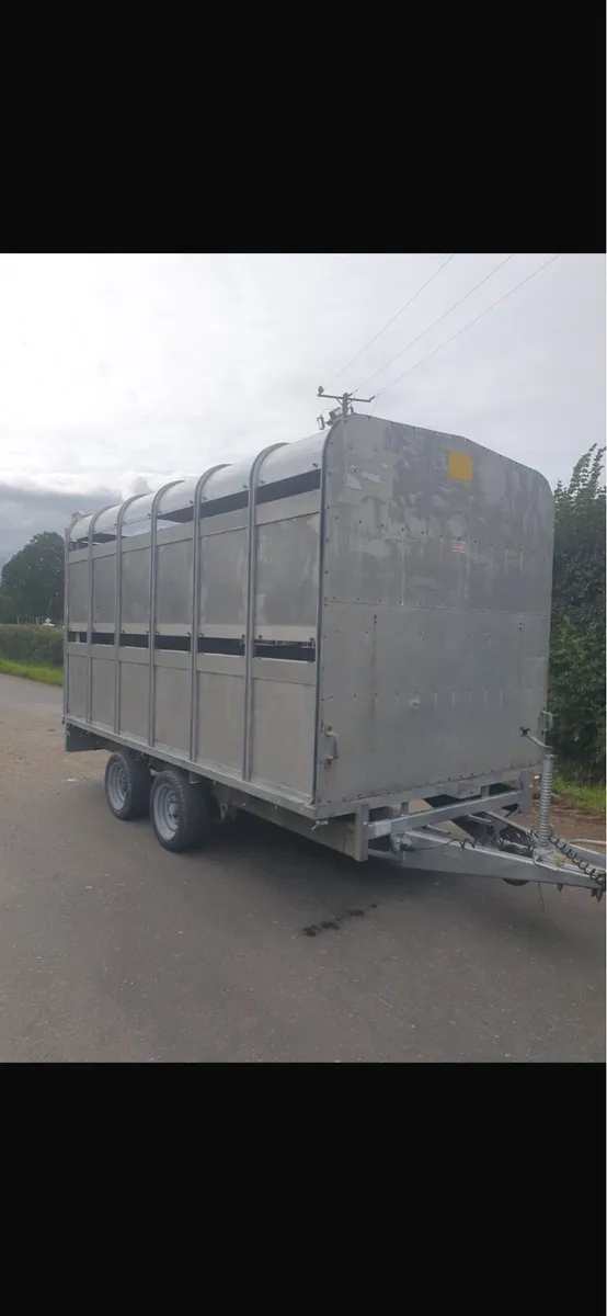 Iforwilliams cattle trailer - Image 1
