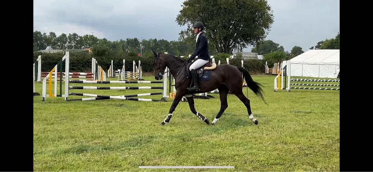 4yo Superstar - Image 3