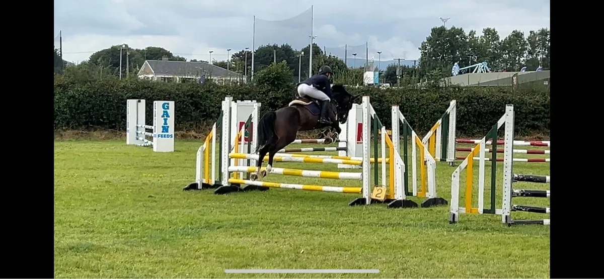 4yo Superstar - Image 4