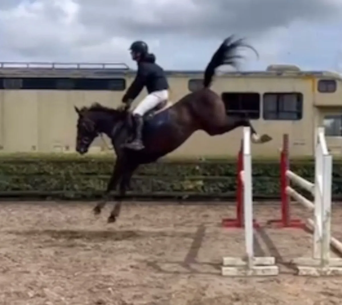 4yo Superstar - Image 1
