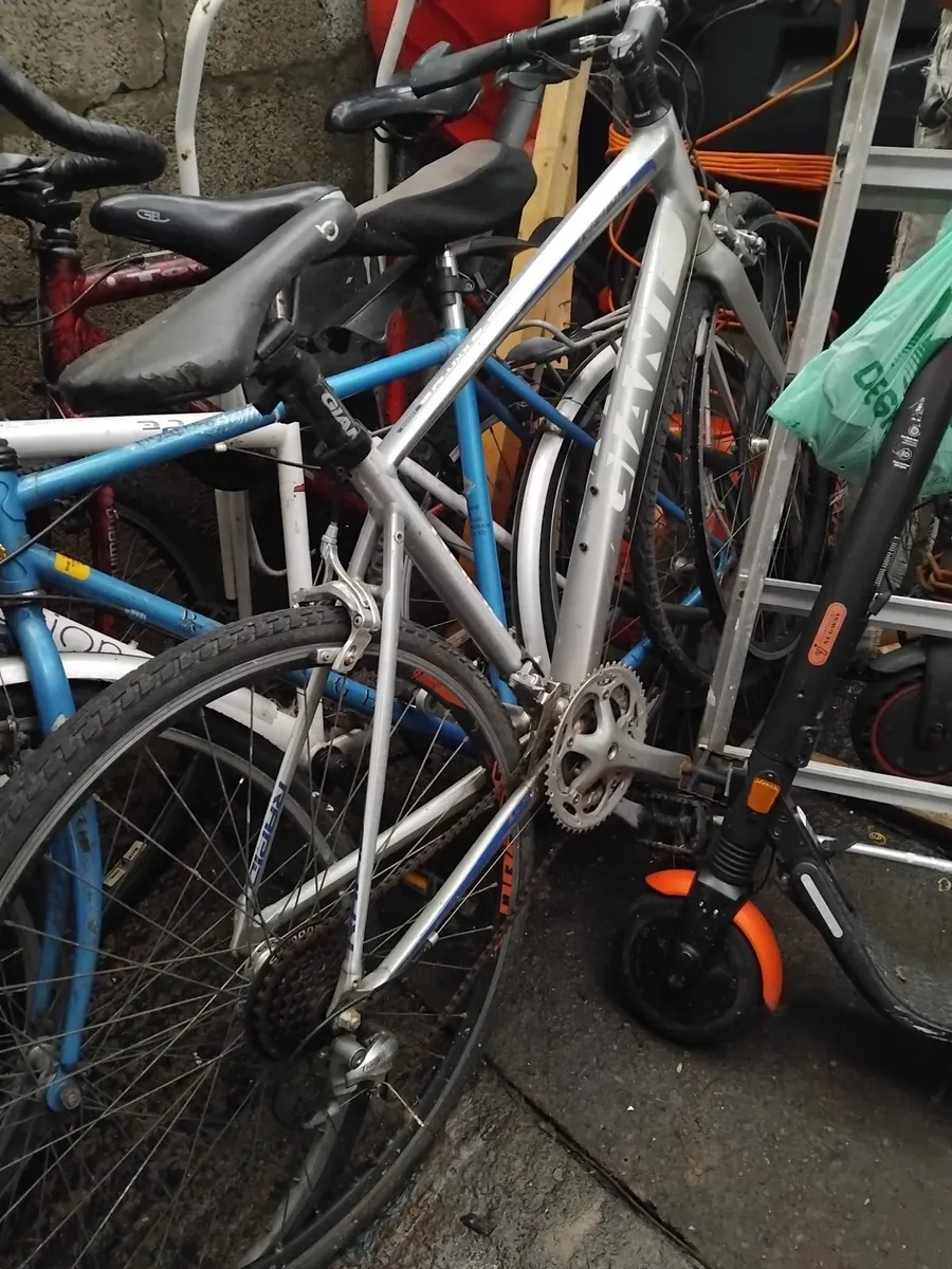 All bikes for sale 40e each no time wasters - Image 4