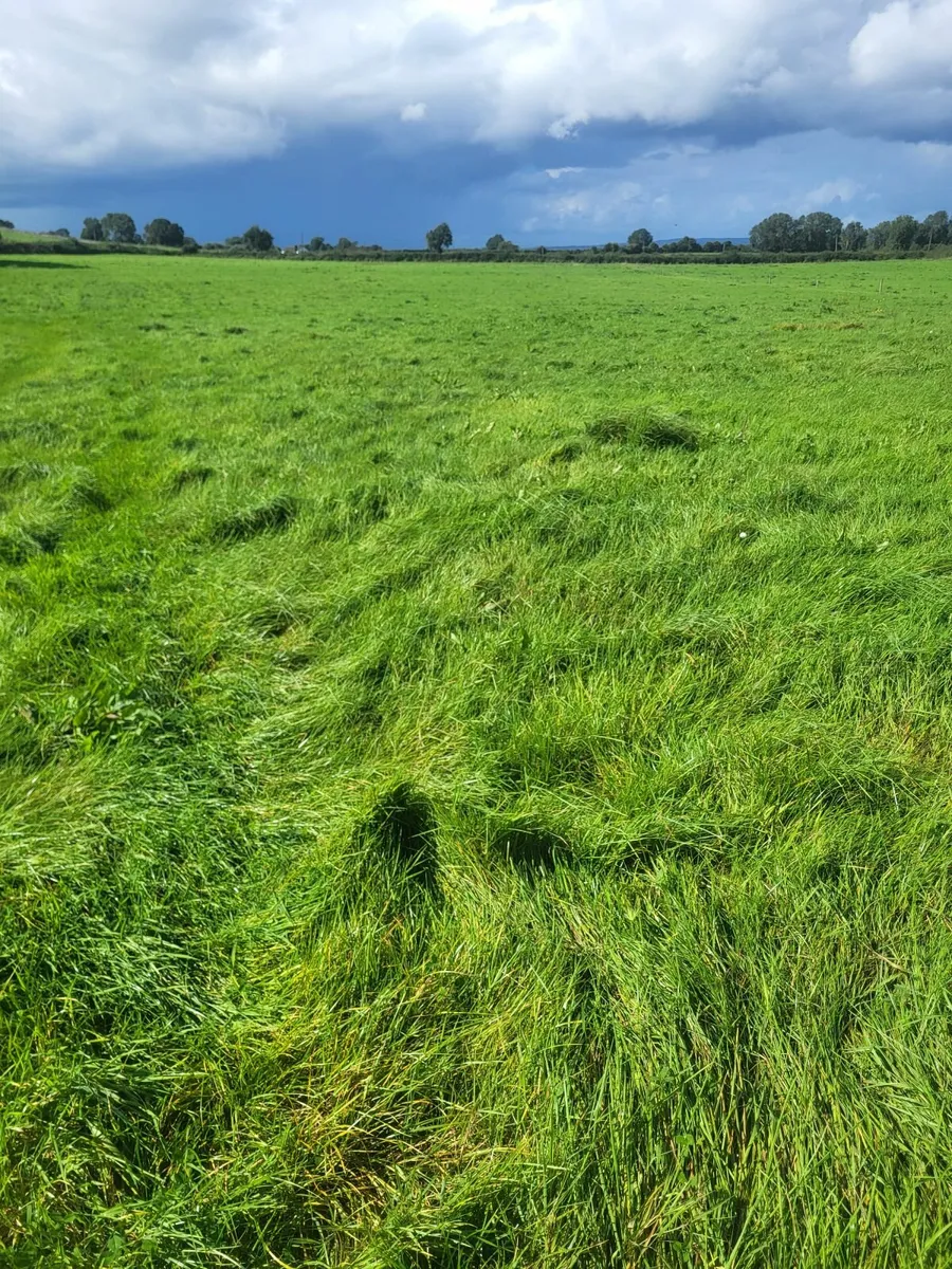 Silage