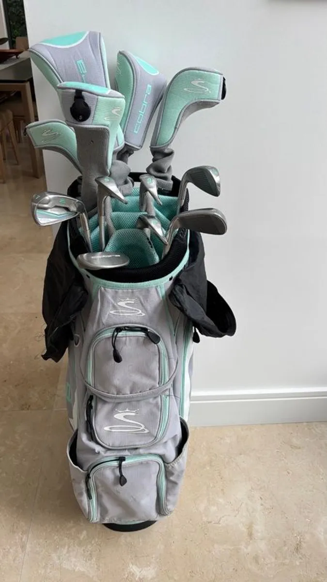 Ladies Golf Clubs - Image 1