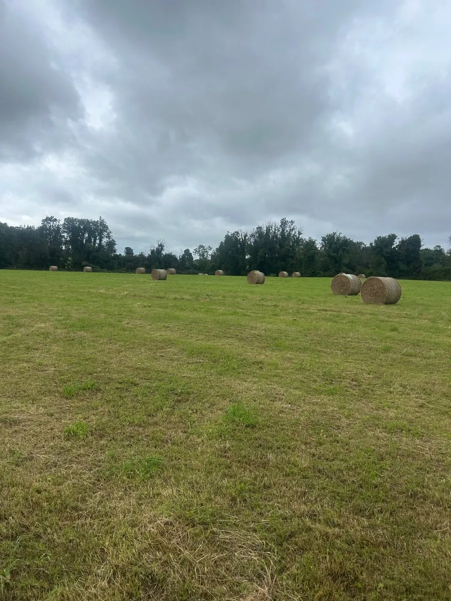 Bales hay - Image 1