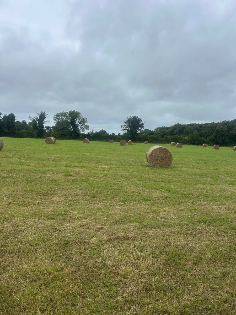 Bales hay - Image 2