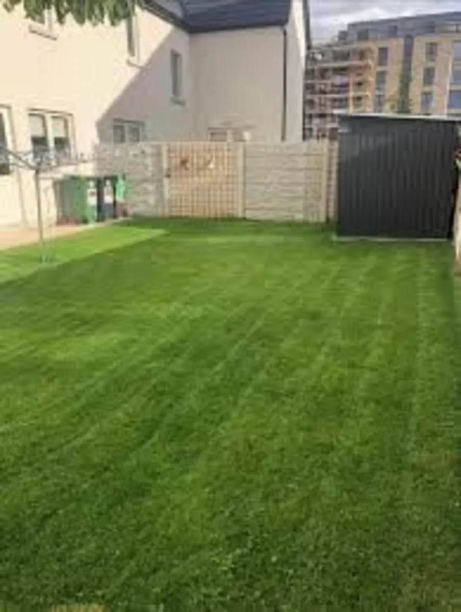 Grass cutting  ,,  Gardening