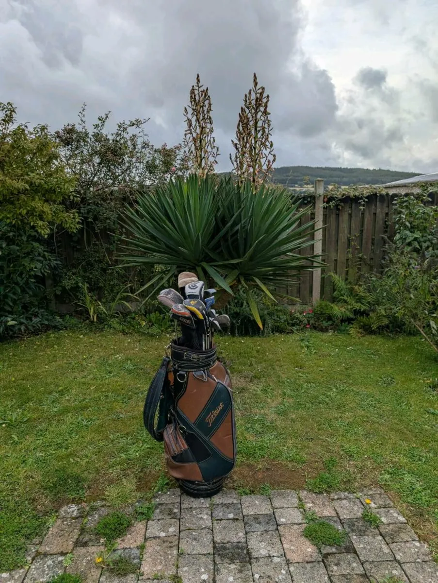 Fully loaded set of adult Golf clubs pings oddyssy - Image 1