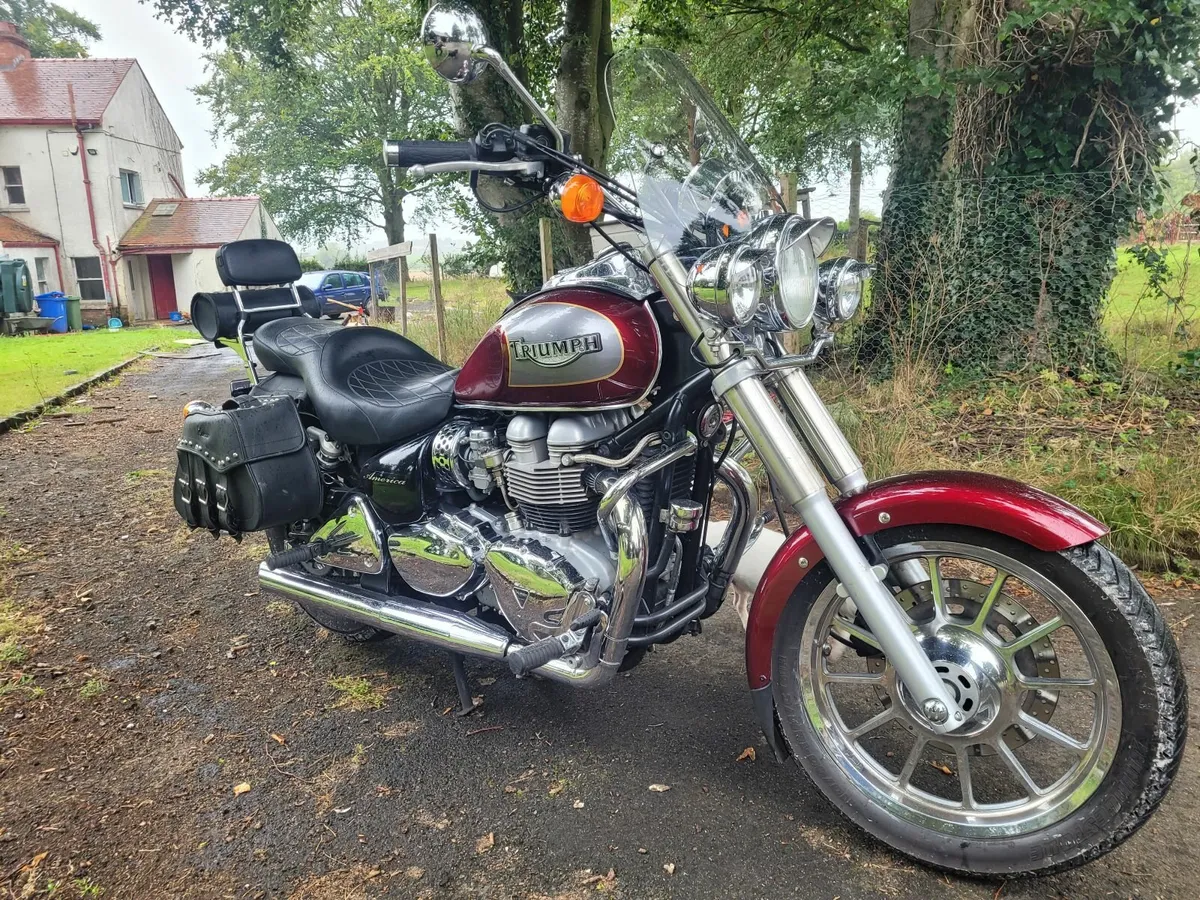 Triumph Bonneville 2006 - Image 2