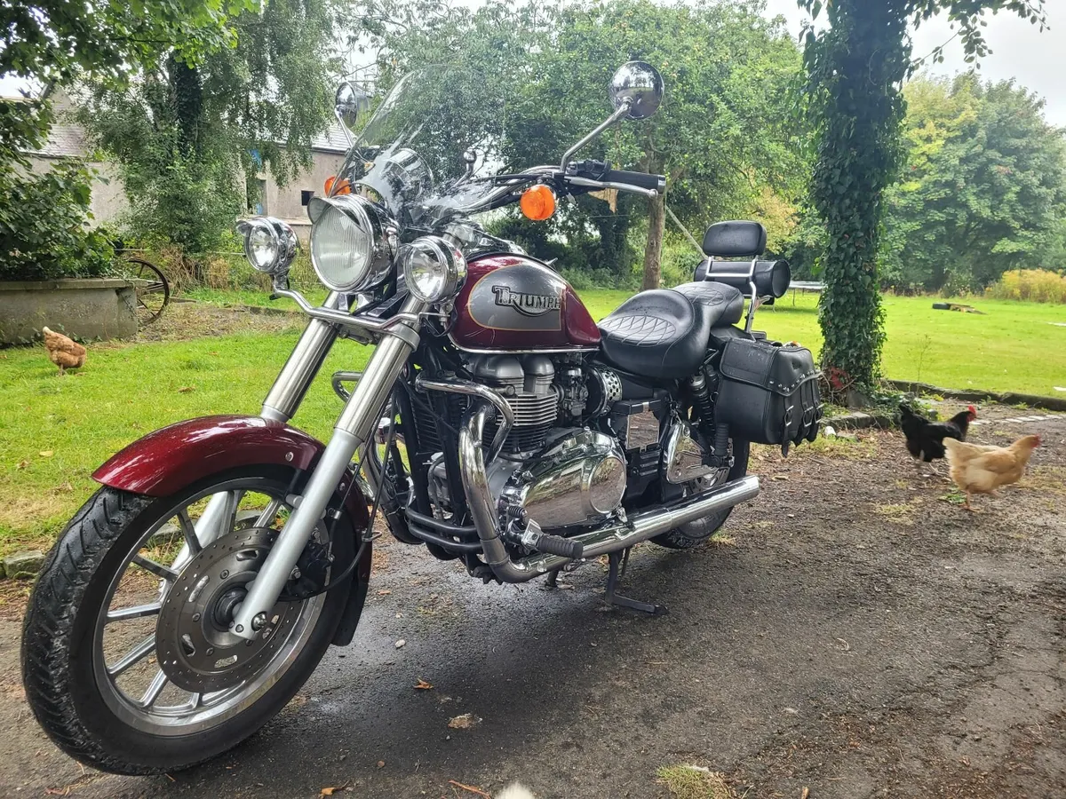 Triumph Bonneville 2006 - Image 4