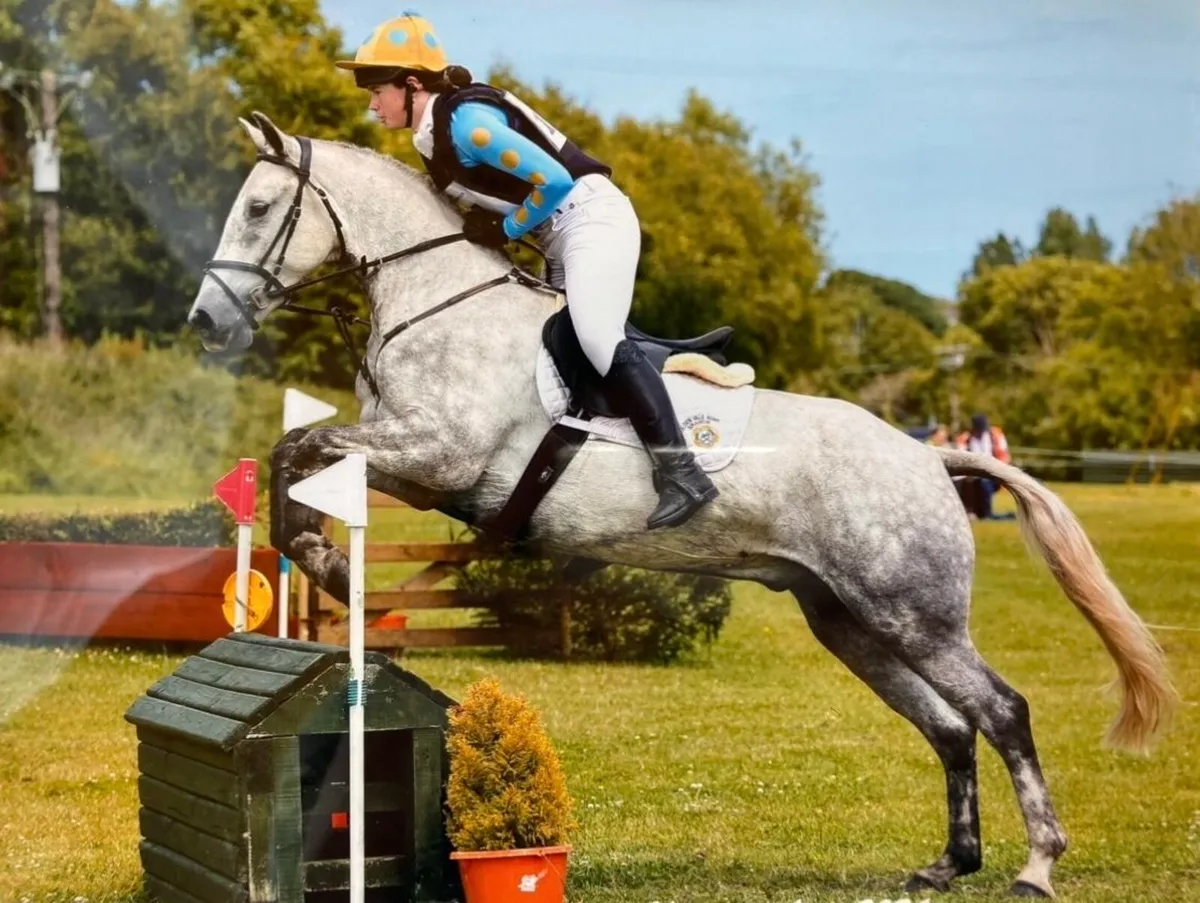 Pony Club Superstar - Image 3