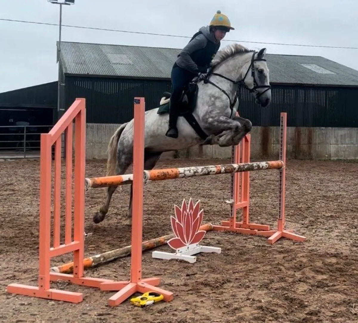 Pony Club Superstar - Image 4