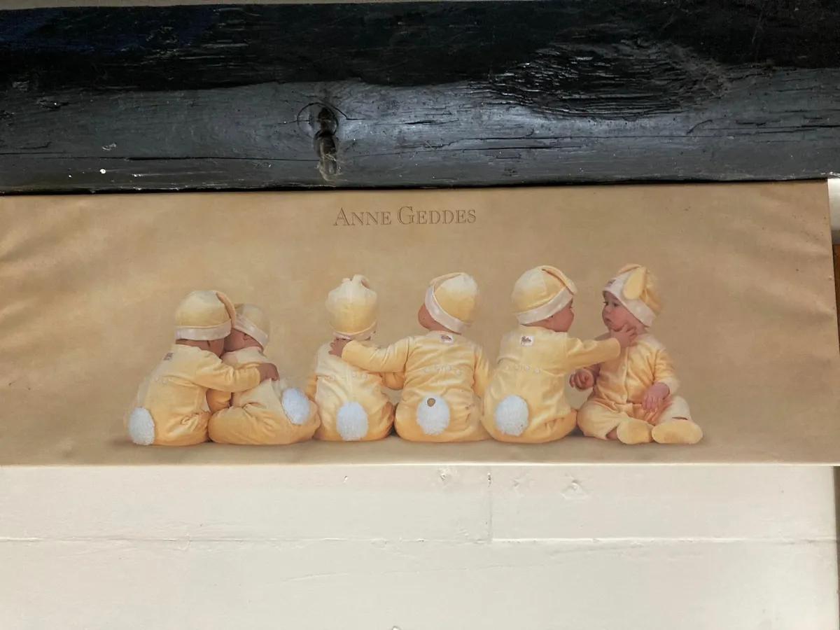Pictures, set of 4 - Image 1