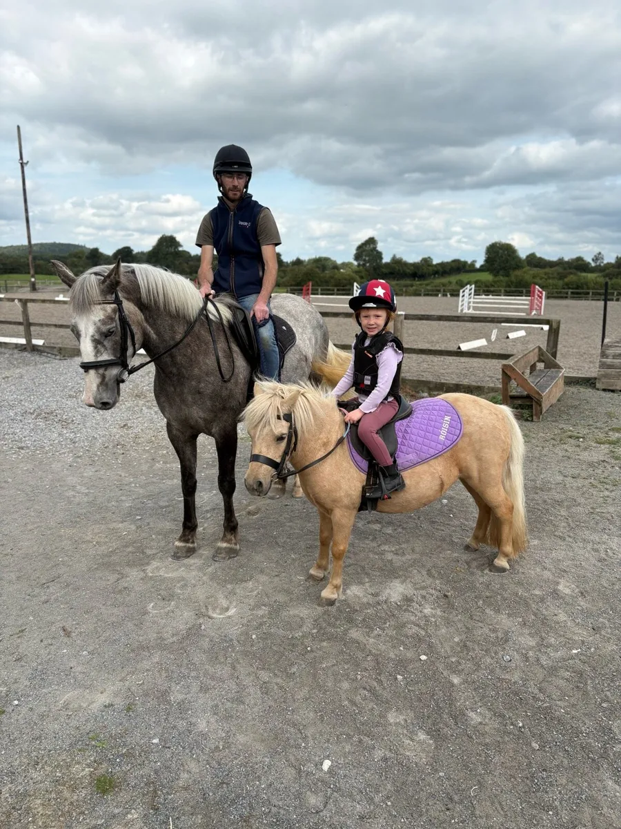 4yo RID MARE - Image 1