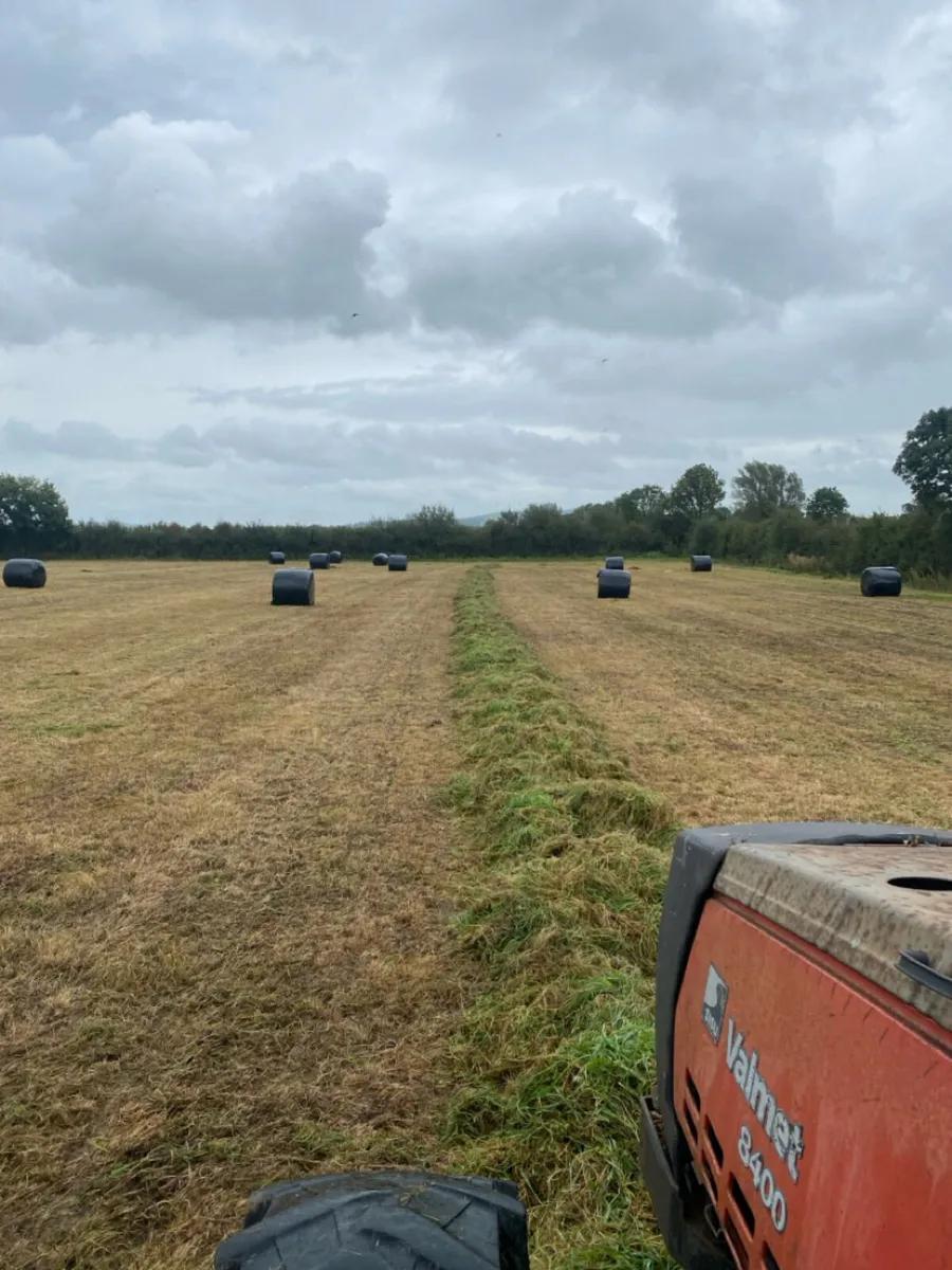Silage bales - Image 1
