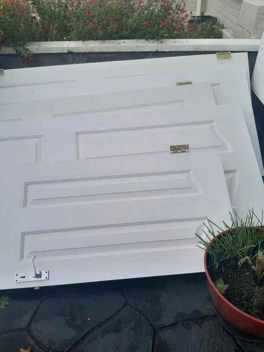 Doors - Image 1
