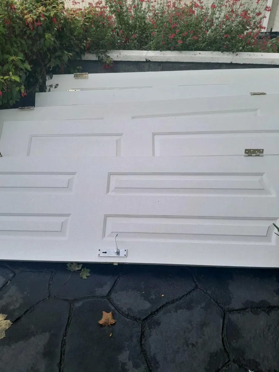 Doors - Image 2