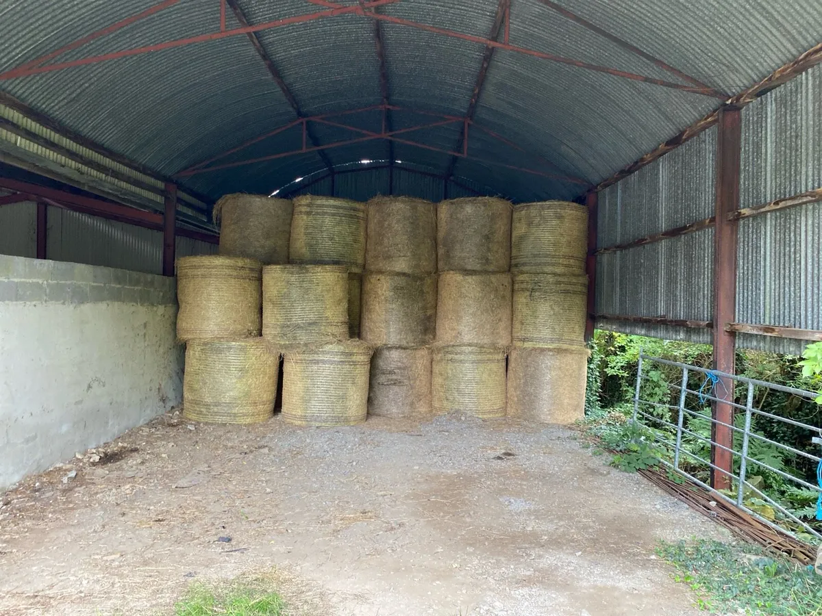 Hay and Haylage - Image 1