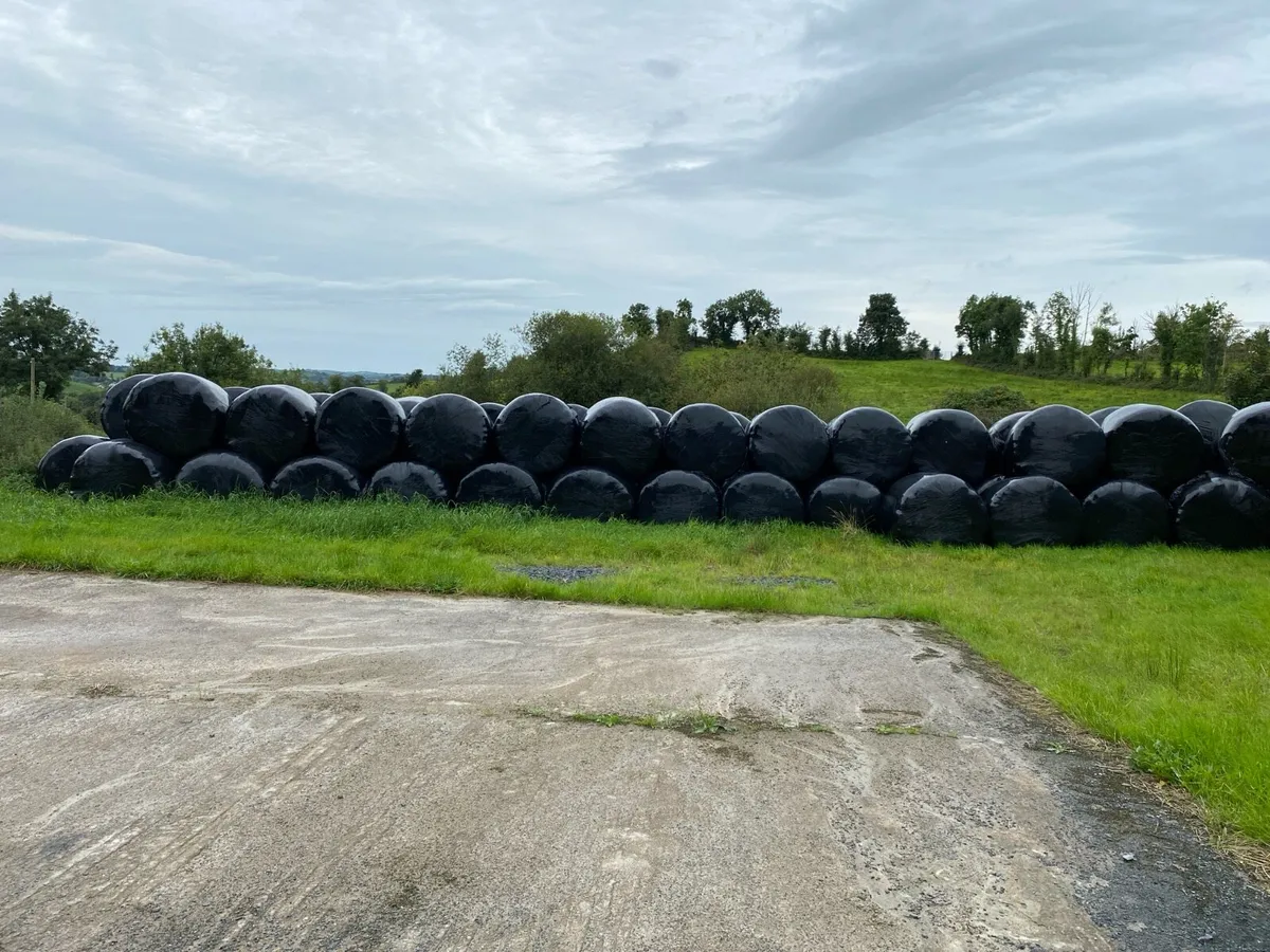 Hay and Haylage - Image 2