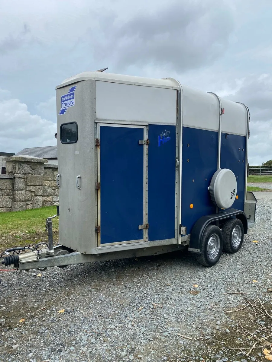 Ifor Williams 505 horse box - Image 1