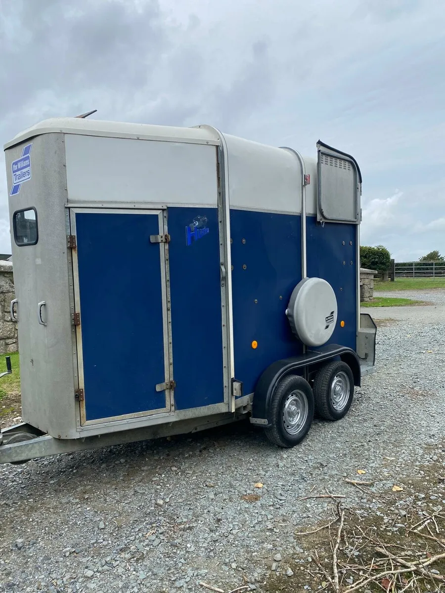 Ifor Williams 505 horse box - Image 3