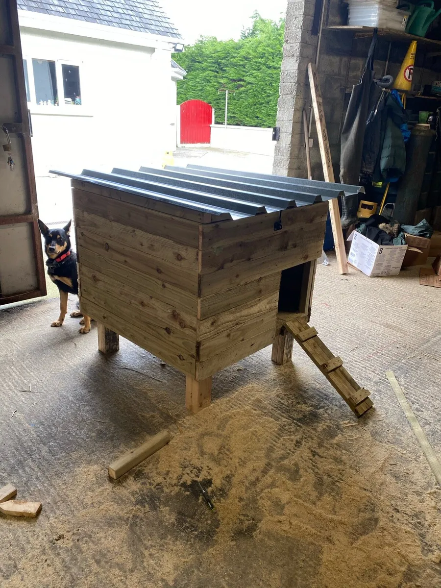 Chicken Coops and chicks 🐣 - Image 2