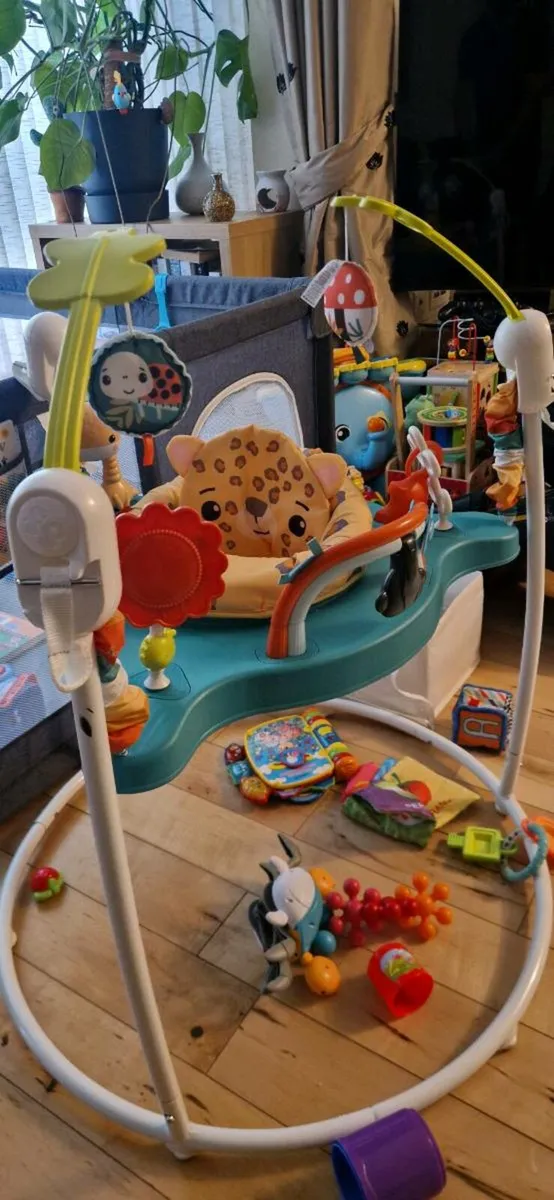 Baby Jungle Bouncer - Image 3
