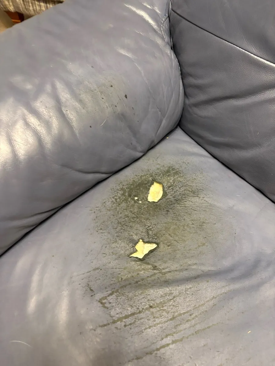 Couch - Image 3