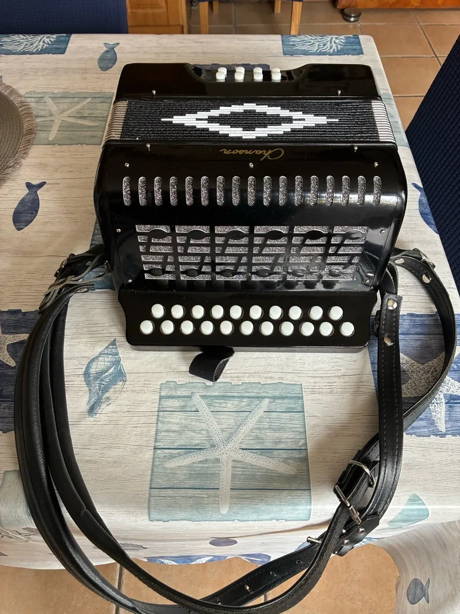 Chandon Accordion - Image 3