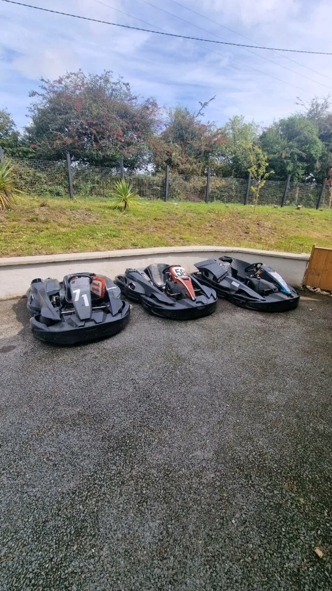 Go karts - Image 1