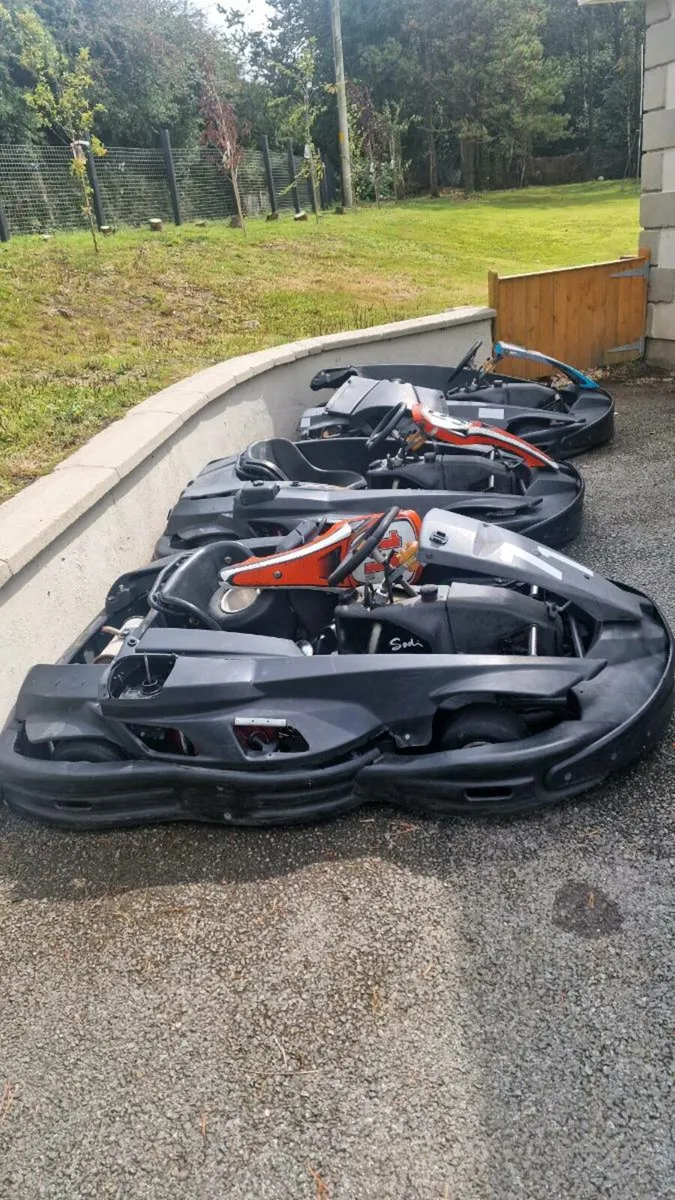 Go karts - Image 2