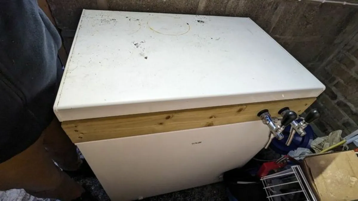 Home Brew Keezer style keerator with temperature - Image 4
