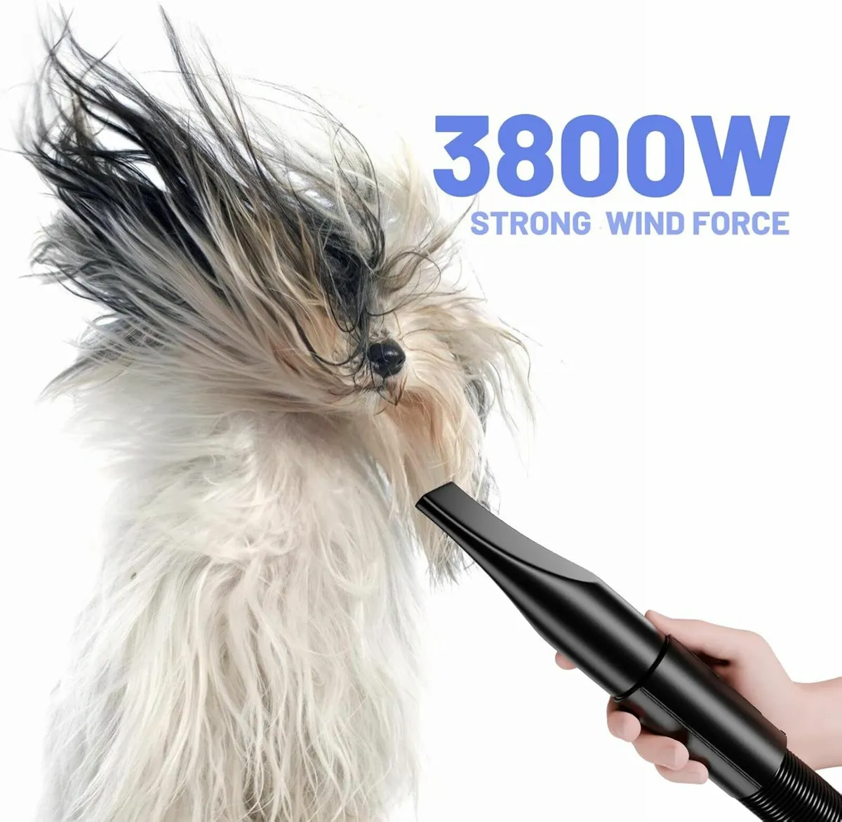 Grooming Hair Dryer Blower Free Delivery - Image 4
